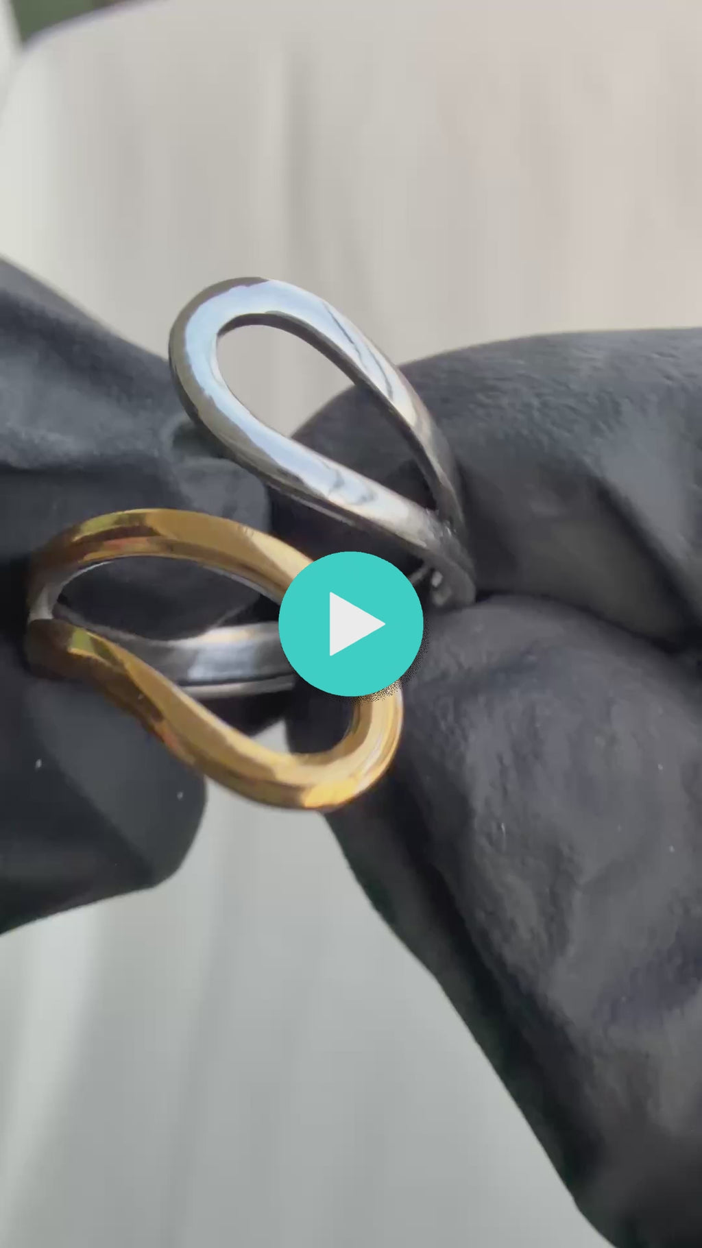 Fusion Loop